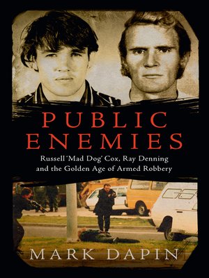 cover image of Public Enemies
